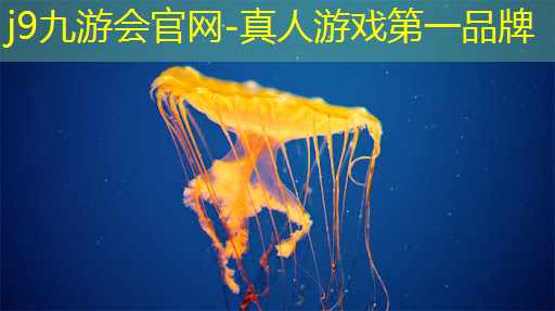 j9九游会真人第一品牌：游戏ui设计的规范