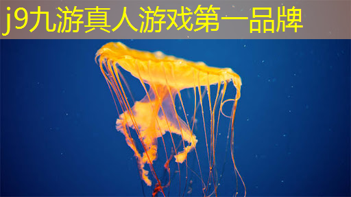 小游戏抖音小程序怎么入驻
