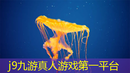 小游戏抖音小程序怎么入驻
